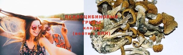 синтетический гашиш Алексеевка