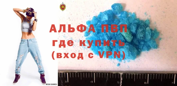 стафф Алексин