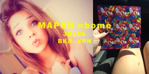 стафф Алексин