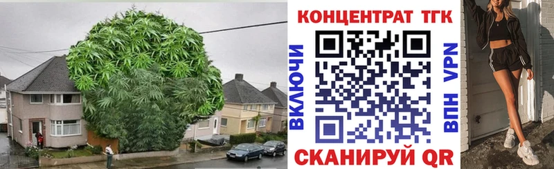 купить наркотики сайты  Кизел  ТГК Wax 