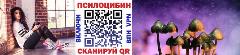 OMG ссылки  Кизел  Галлюциногенные грибы ЛСД  как найти наркотики 